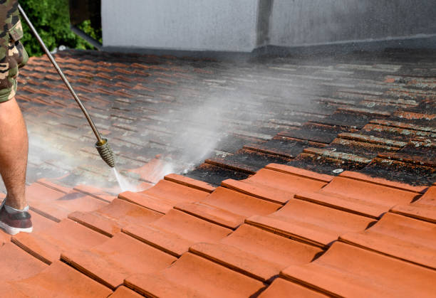 Best Residential Pressure Washing Services  in Lakewood, OH